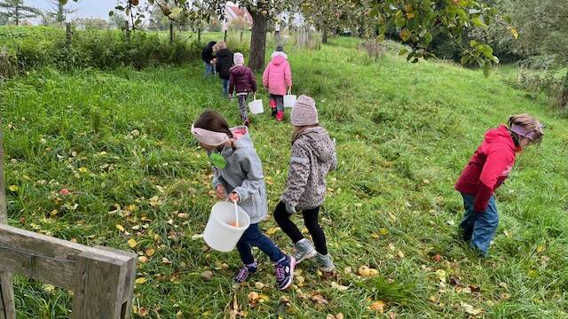 Bild Äpfelsammeln - SJ 2025-26