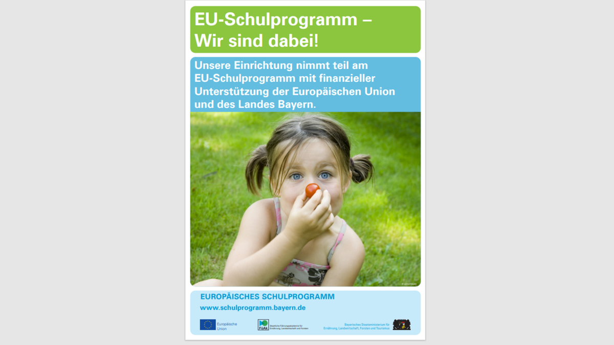 Poster Schulprogramm