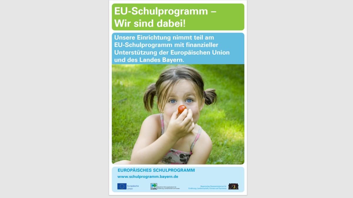 Poster Schulprogramm