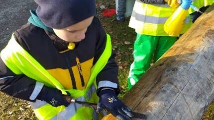 Bild Kind raspelt Holz an Baumstamm