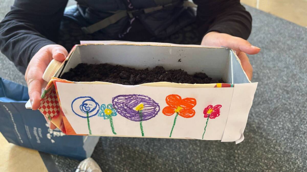 Bild Mini-Garten im Tetra Pak